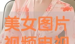 美人图在线观看完整版,穿越时空的美丽邂逅